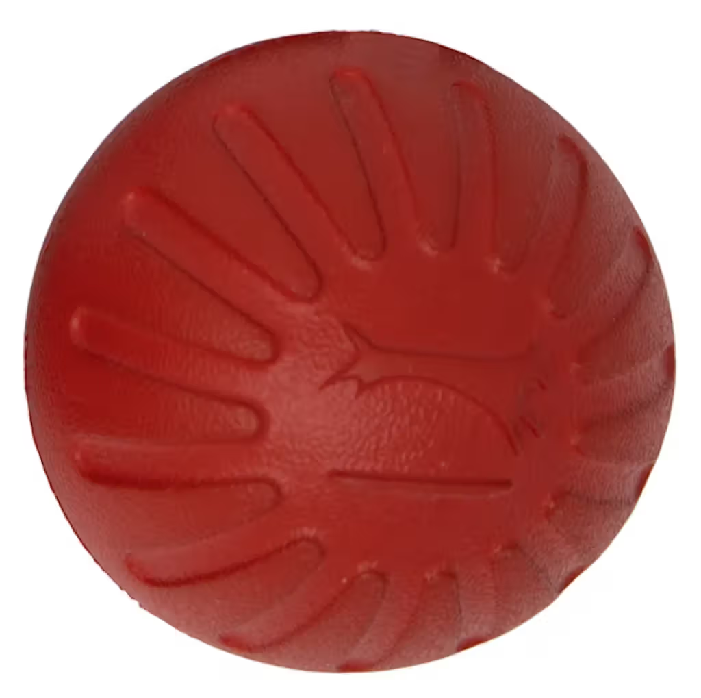 Starmark Bacon Ball - Juguete para perro