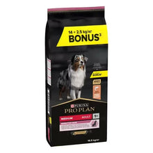 Pro Plan Adult Medium Dog Sensitive Skin - Dry food for dogs with sensitive skin