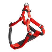 Ferplast Arnes Nylon Daytona P - Arnés para cão