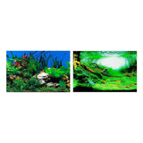 Ferplast Fondo Acuario Imagen Doble Cara Blu 9054 - Fondo de acuario para acuario