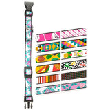 Ferplast Collar Fantasia C15 32 - Dog collar