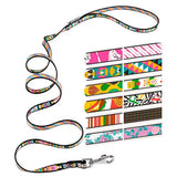 Ferplast Correa Fantasia G10 120 - Collar para perro