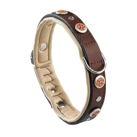 Ferplast Collar Giotto - Coleira para cão