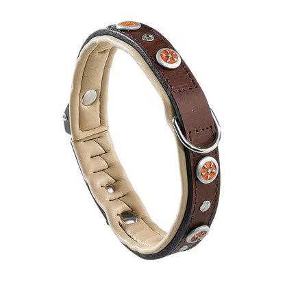 Ferplast Collar Giotto C25 44 - Coleira para cão