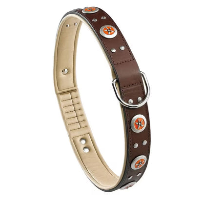 Ferplast Collar Giotto C35 76 - Coleira para cão