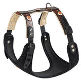 Ferplast Arnes Giotto P - Harness for dogs