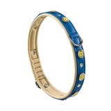 Ferplast Collar Circus C20 34 - Coleira para cão
