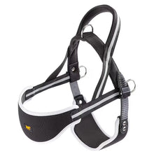 Ferplast Arnes Ergocomfort Nordic 2 - Arnés para perro