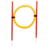 Ferplast Agility PA 6862 Circle - Juguete para perro