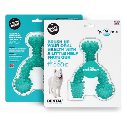 Tastybone Trio L - Brinquedo para cão para higiene dentária