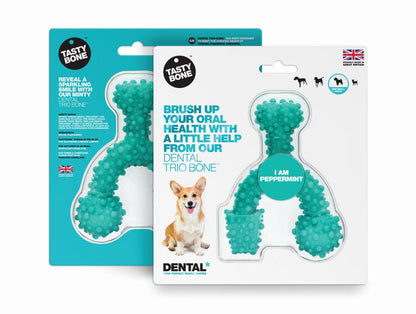 Tastybone Trio L - Dental hygiene dog toy