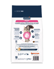 Advance Vet Gato Urinary Stress Pollo - Pienso seco para gato con problemas urinarios