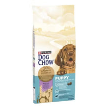 Dog Chow Cão Cachorro Borrego - Ração seca para cão