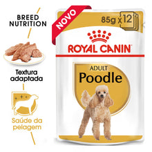 Royal Canin Caniche Perro Adulto - Comida húmeda para perro