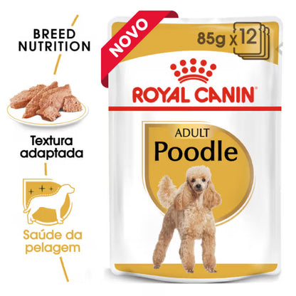 Royal Canin Caniche Perro Adulto - Comida húmeda para perro