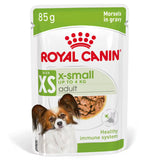 Royal Canin X-Small Cão Adulto - Ração húmida para cão