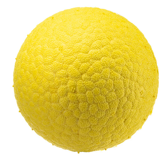 Ferplast Chewa Boing Ball - Dental hygiene dog toy