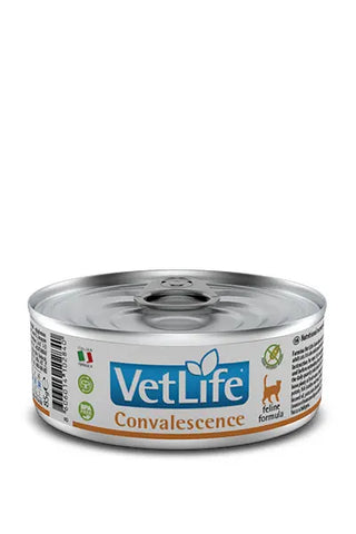 Farmina Vet Life Cat Convalescence - Comida húmeda para gato para convalecencia