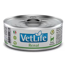 Farmina Vet Life Renal Cat Chicken - Wet cat food for renal insufficiency