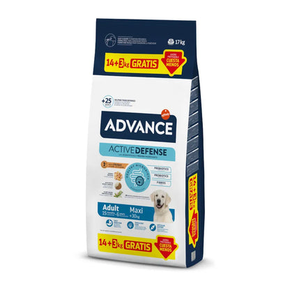 https://cdn.shopify.com/s/files/1/0916/7627/9129/files/969264.webp?v=1776963083