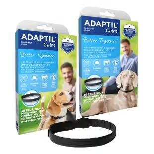 Adaptil Calm Dog Collar
