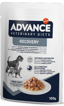 Advance Vet Dog & Cat Recovery | Wet (Saqueta) | Cx c/11 saquetas 100 g