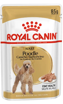 Alimento Húmido para Cão Royal Canin Caniche Adulto | Wet (Saqueta) | 12 x 85 g