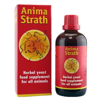 Anima-Strath