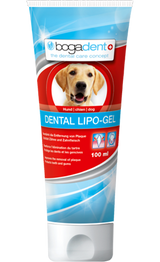 https://cdn.shopify.com/s/files/1/0916/7627/9129/files/Bogadent_Dental_LipoGel.png?v=1737454053