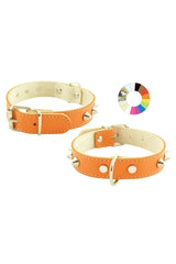 COLLAR MOUNTAIN CO2F - Collar para perro