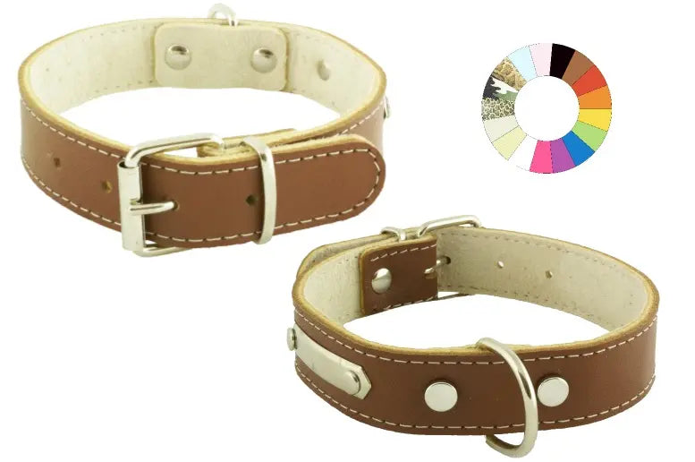 COLLAR MOUNTAIN - Collar para perro