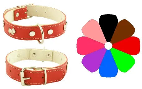 Mountain Westy Oro - Dog collar