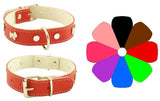 COLLAR MOUNTAIN WESTY - Collar para perro