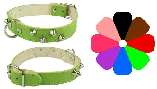 COLLAR MOUNTAIN CO2F - Collar para perro
