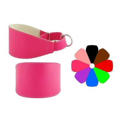 COLLAR MARTING FUC - Collar para perro