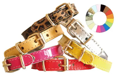 COLLAR LITTLE CHAROL VER - Dog collar
