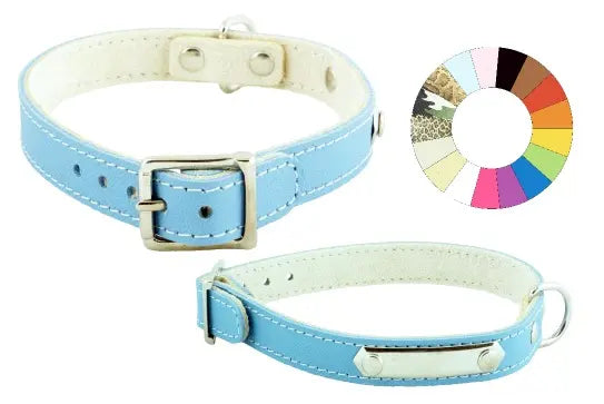 COLLAR LITTLE CHAPA - Dog collar