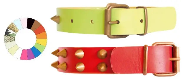 unknown CLASS CO1F - Leather dog collar