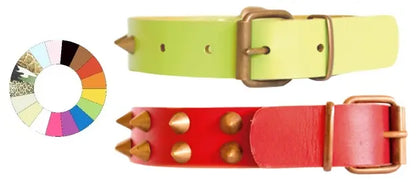 unknown CLASS CO1F - Leather dog collar