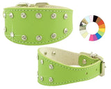 COLLAR GALGO FANT NJ - Dog collar