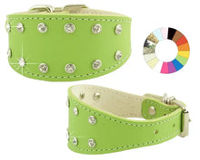 COLLAR GALGO FANT FUC - Coleira para cão 22-32 - 35 x 5 cm