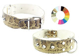 Dog Chow COLLAR BULL-DOG CO1F CELE - Coleira para cão