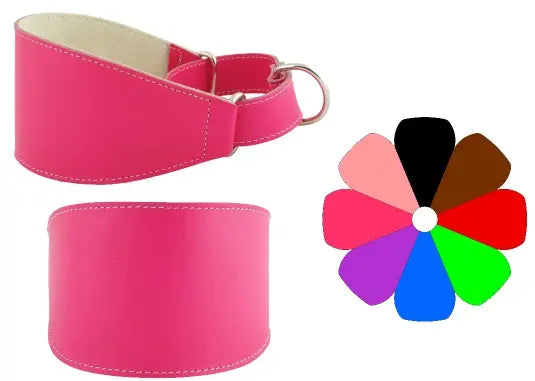 COLLAR GALGO MARTING - Coleira para cão