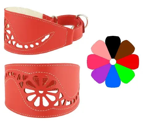 COLLAR GALGO MARTING FILIG FUC - Coleira para cão