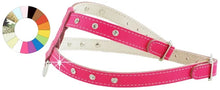ARNES LITTLE FANT ORO - Dog harness
