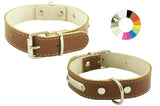COLLAR MOUNTAIN FLUOR - Coleira para cão