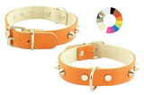 COLLAR MOUNTAIN CO1F FLUOR - Coleira para cão