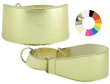 COLLAR GALGO MARTING ESTRE FLUOR NJ - Dog collar