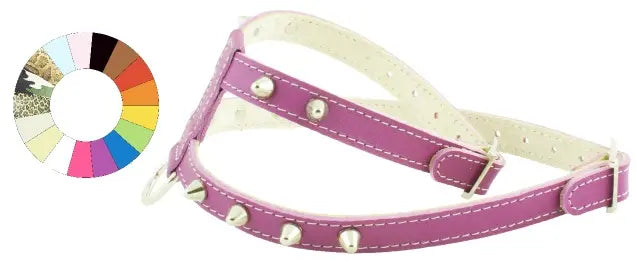ARNES LITTLE CO1F FLUOR FUC A14 C300/19-25 P450/34 - Arnés para perro