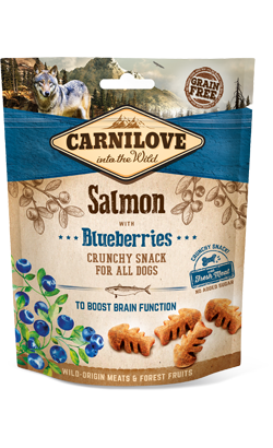 https://cdn.shopify.com/s/files/1/0916/7627/9129/files/Carnilove_Dog_Crunchy_Snack_Salmon_with_Blueberries.png?v=1752687167